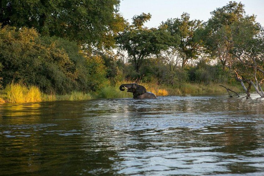 Zambezi Sunset Cruise – Wildlife, Drinks & Breathtaking Views 2