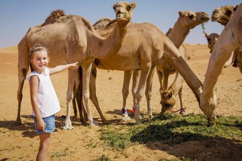 Evening Abu Dhabi Desert Safari & BBQ Dinner- Standard Tour 5