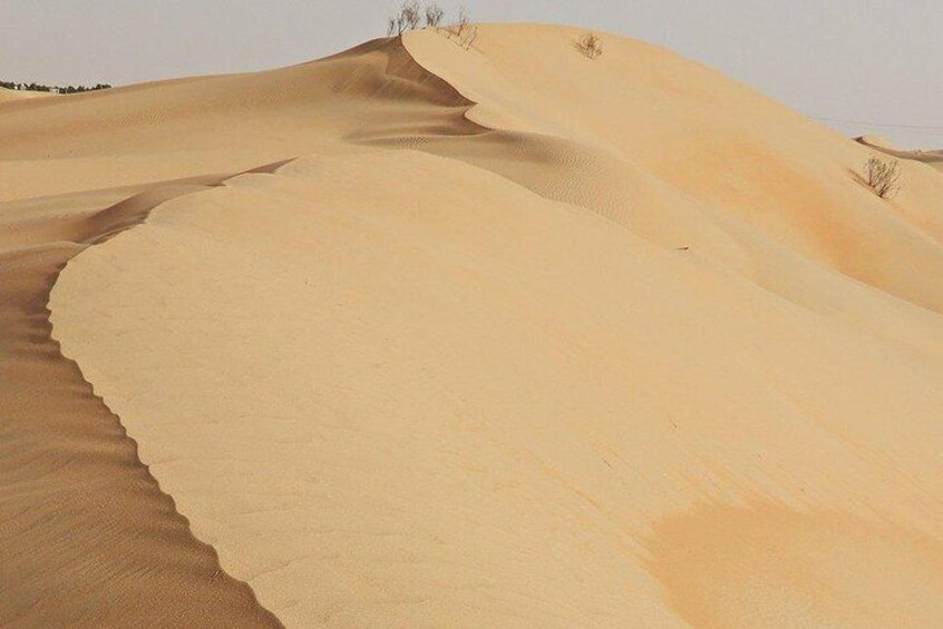 Liwa Desert 