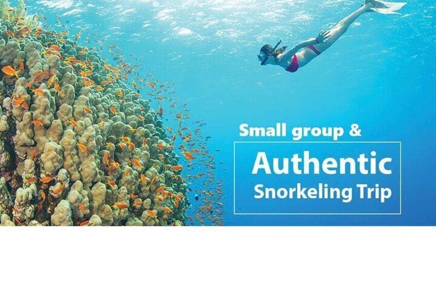 PREMIUM Snorkel Trip &Explore 4 Island by SPEEDBOAT(MAX 12PAX)-SEAFOOD BBQ lunch