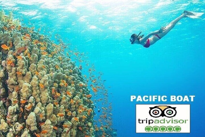 PREMIUM Snorkel Trip &Explore 4 Island by SPEEDBOAT(MAX 12PAX)-SEAFOOD BBQ lunch