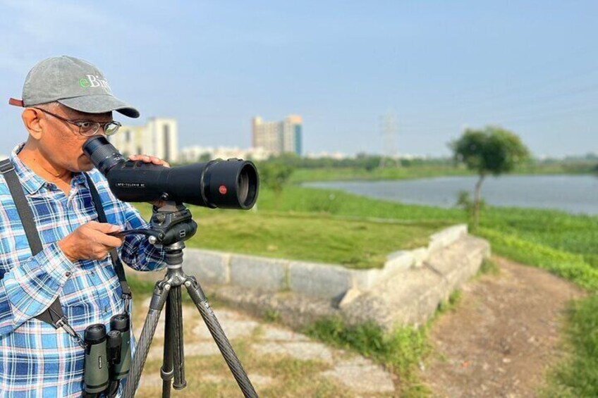 Chennai, Guided Birding And Birding Photo Trip With Spot Scope, 2 to 3 Hours