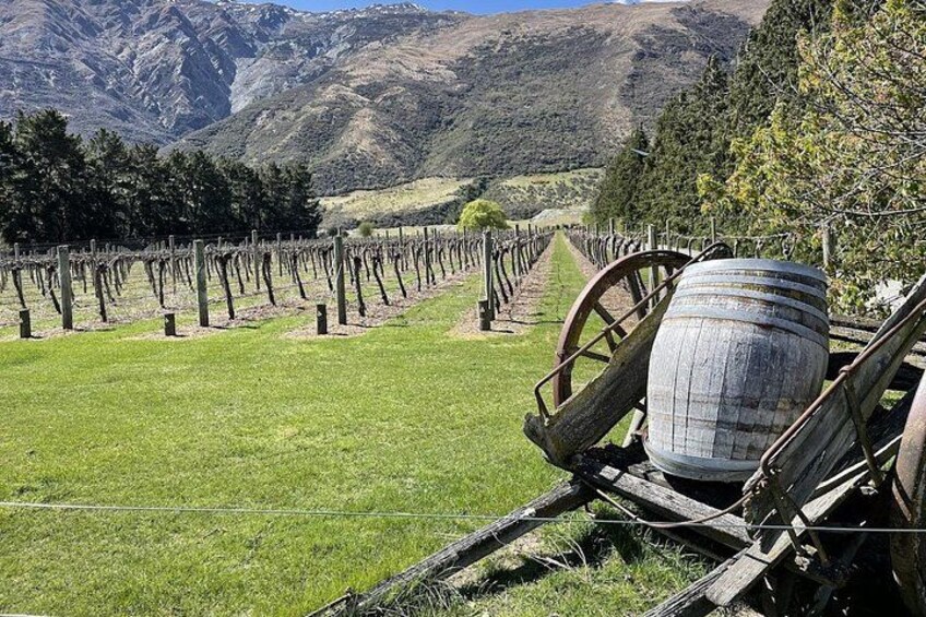Bike & Wine Tour: Arrowtown to Valley of the Vines 2
