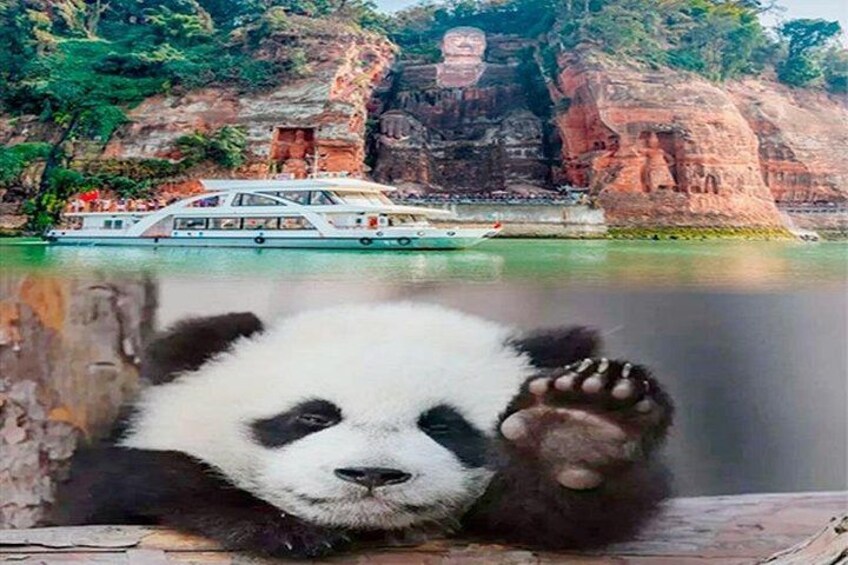 Leshan Buddha + Panda Base or Old Tea House Private Day Tour 1