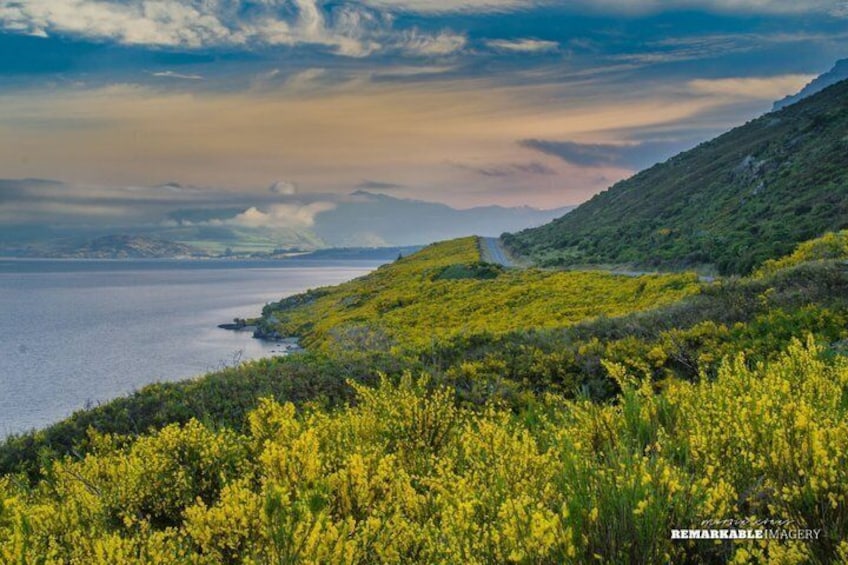 Half Day Queenstown & Beyond Private Scenic Photography Tour 5