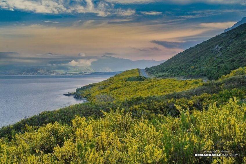 A coastal landscape with a winding road, green hills, and a body of water. 2