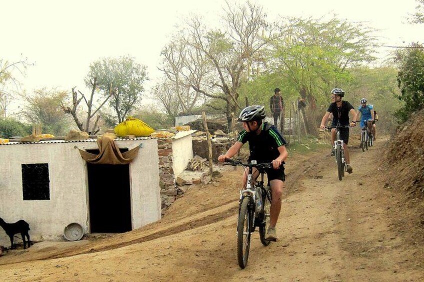 Jaipur Village Cycling Safari 1
