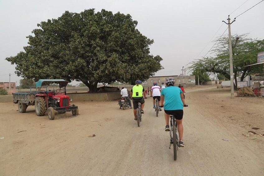 Jaipur Village Cycling Safari 5