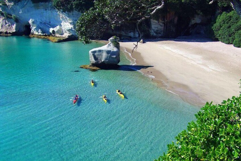 Cathedral Cove Classic Kayaking Tour