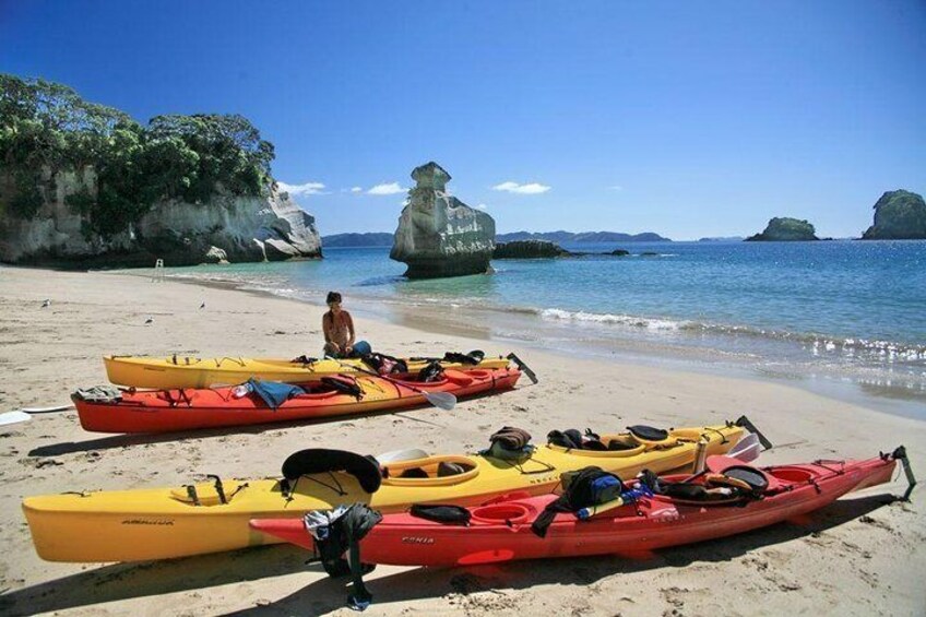 Cathedral Cove Classic Kayaking Tour