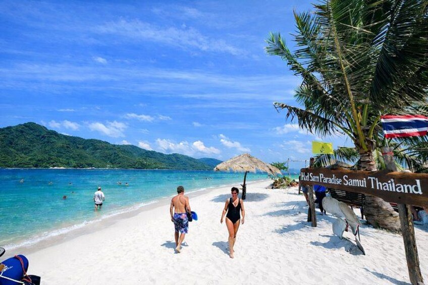 Pig Island ,Snorkeling, Private Long Tail Boat (Local Thai Experience) 3