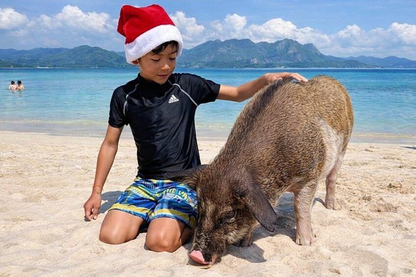 Pig Island ,Snorkeling, Private Long Tail Boat (Local Thai Experience) 2
