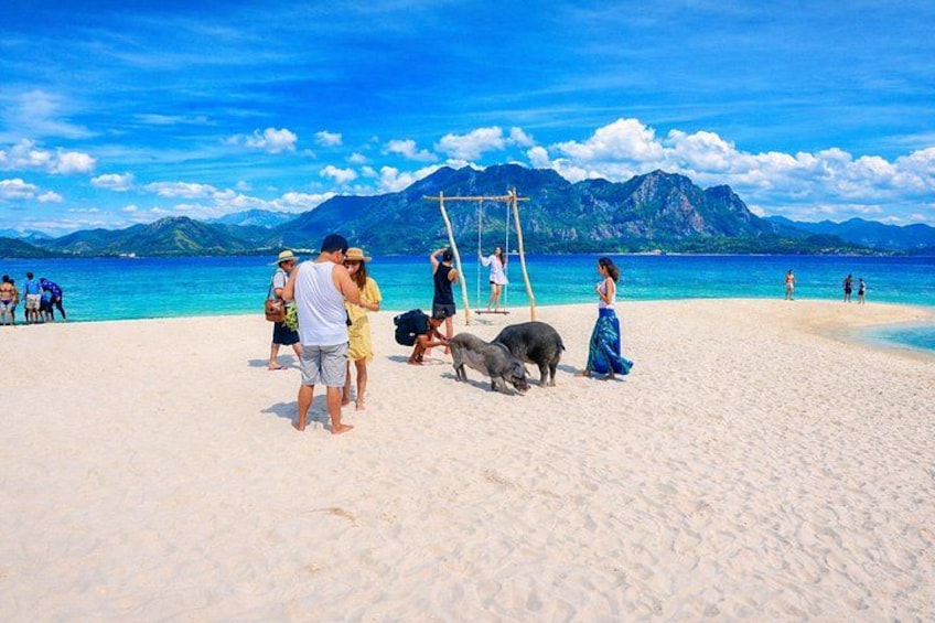 En strand med människor, en hund och berg i bakgrunden. 4