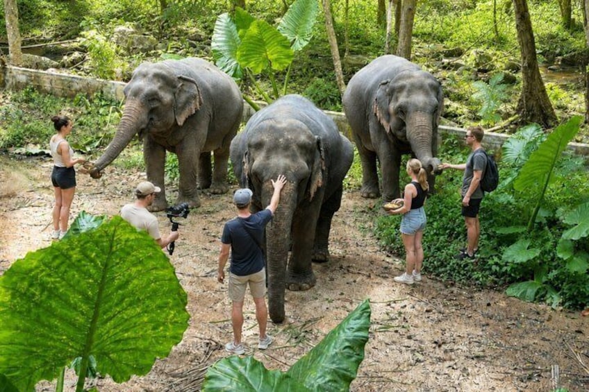 Koh Samui Sightseeing Tour Around The Island 3