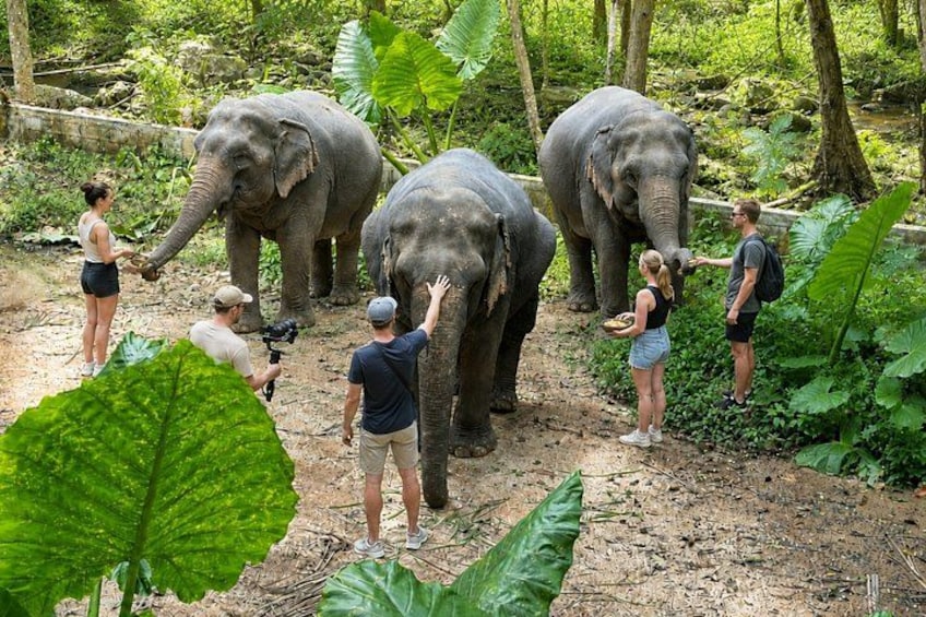 Koh Samui Sightseeing Tour Around The Island 2