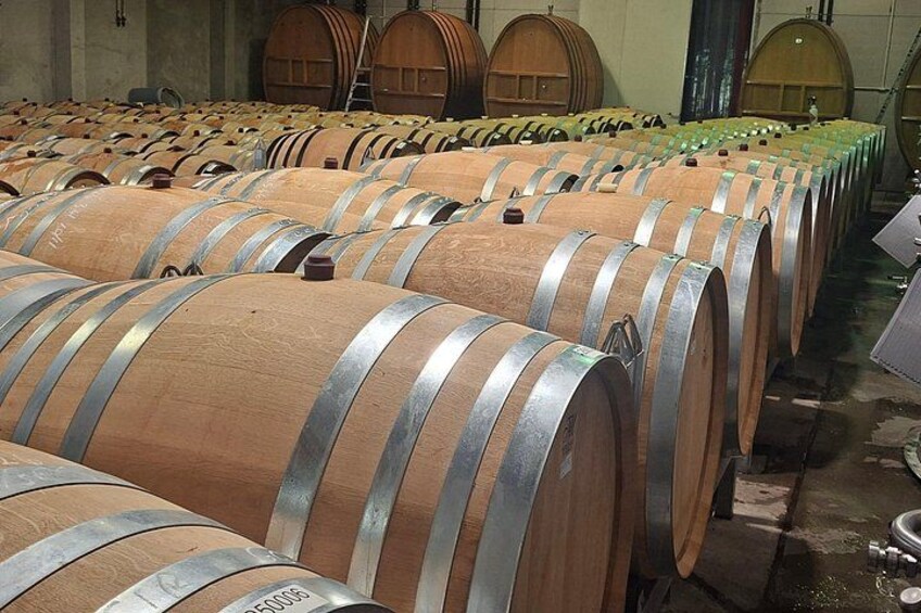 Trinity Hill barrel room 3