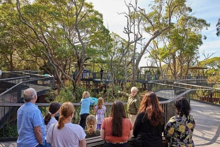 Sydney Taronga Zoo's Aussie Backyard Adventure Tour 1