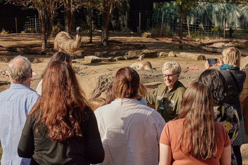 Sydney Taronga Zoo's Aussie Backyard Adventure Tour 2