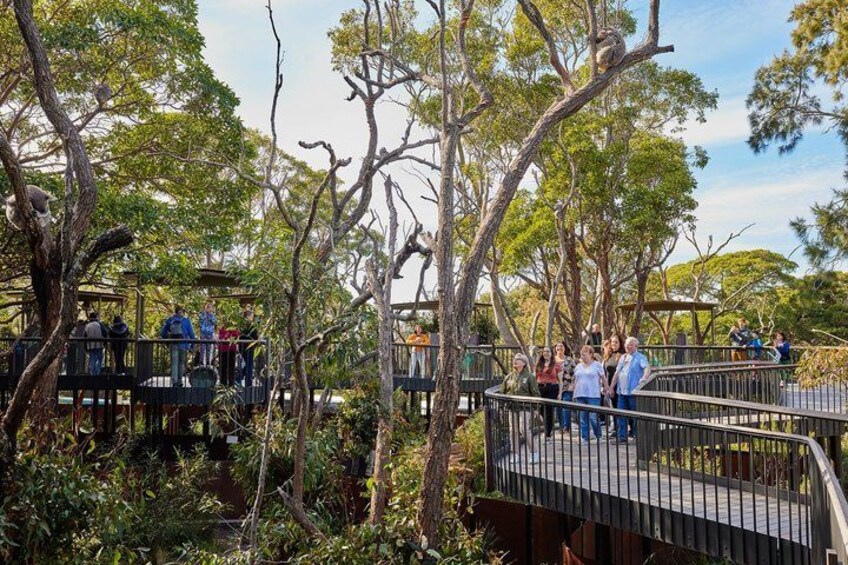 Sydney Taronga Zoo Wild Australia Experience 4