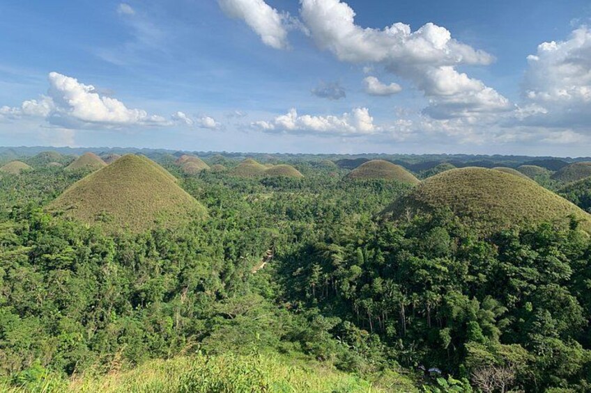 Bohol Countryside Journeys 5