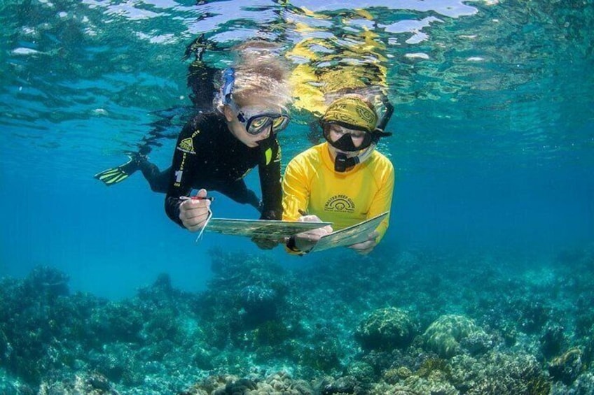 Two people scuba diving underwater, surrounded by marine life and coral reefs. 3