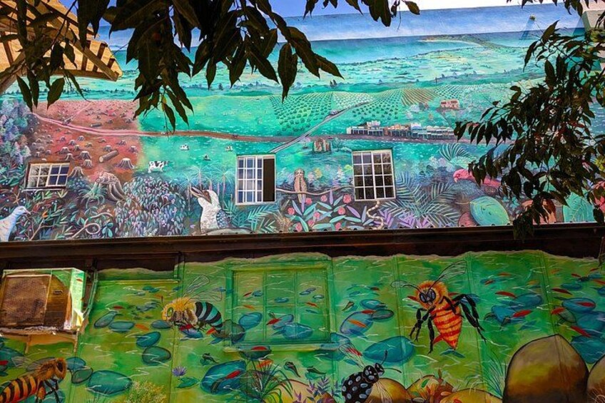 Bangalow 5