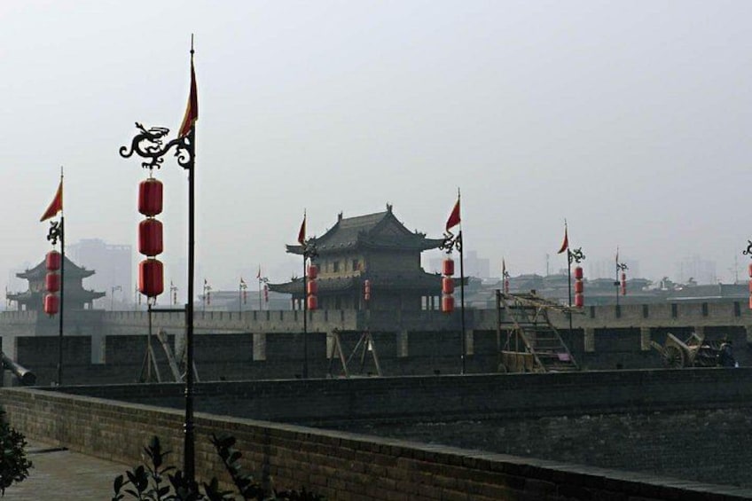 Private Tour Guide or Transfer for Terracotta Warriors and Xi'an 3