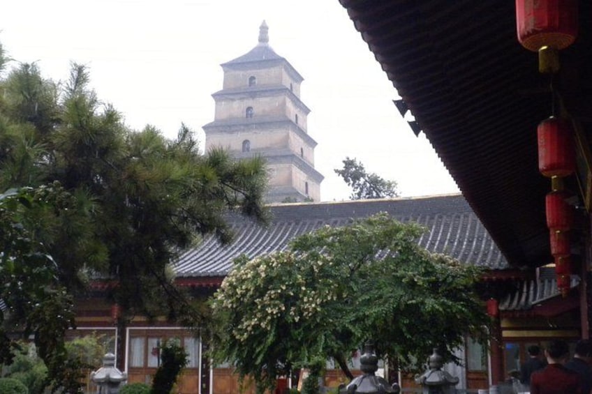 Private Tour Guide or Transfer for Terracotta Warriors and Xi'an 5