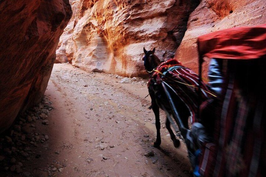 Jordan Private Driver Consultancy Service | The Jordanian Mappers 2