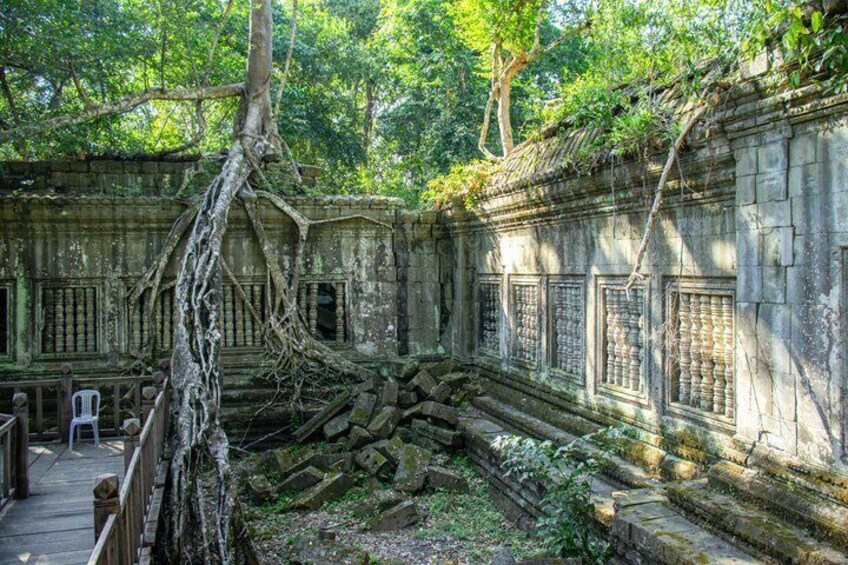 An ancient stone structure with overgrown vegetation, including a large tree with roots entwined in the stone. 4