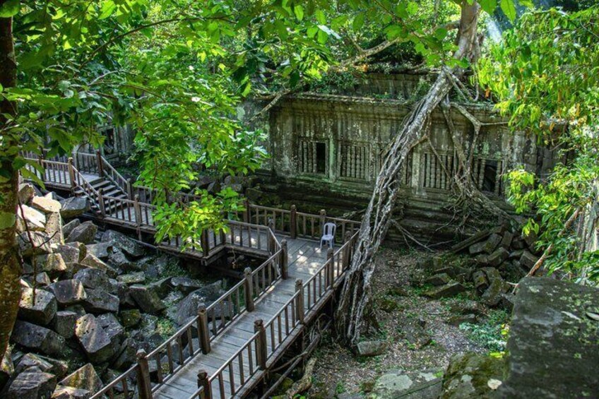 A wooden bridge with railings, surrounded by lush greenery and overgrown vegetation. 3