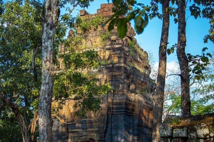A stone structure with carvings, surrounded by trees. 5