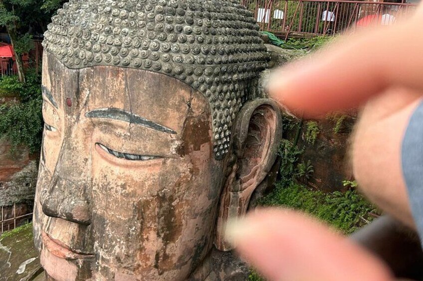 Chengdu: Panda Base Leshan Buddha Tour(or Half Day Panda Base ) 3