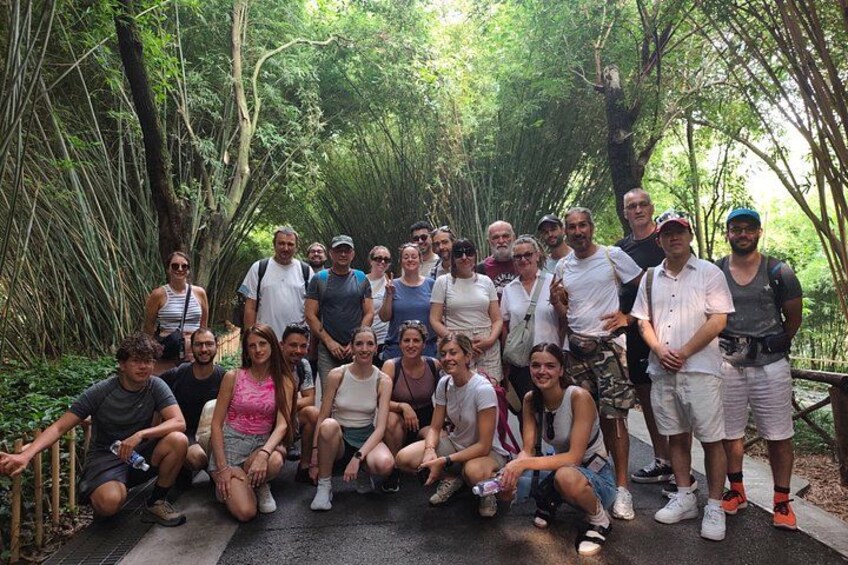 Chengdu: Panda Base Leshan Buddha Tour(or Half Day Panda Base ) 3