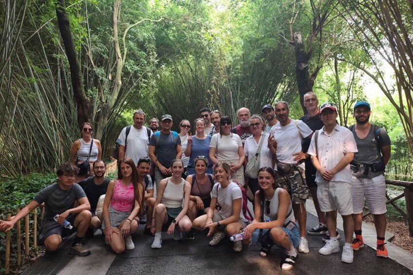 Chengdu: Panda Base Leshan Buddha Tour(or Half Day Panda Base ) 2