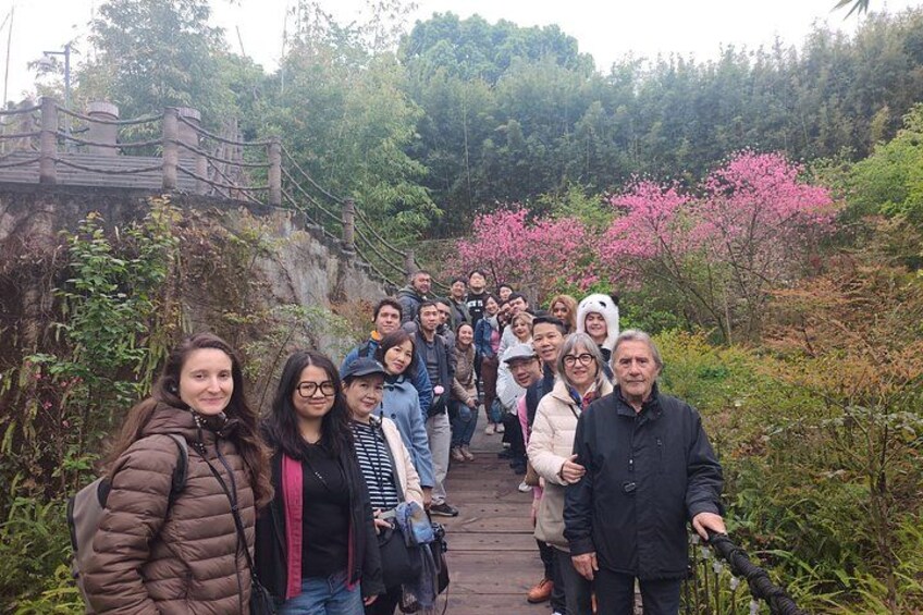 Chengdu: Panda Base Leshan Buddha Tour(or Half Day Panda Base ) 3