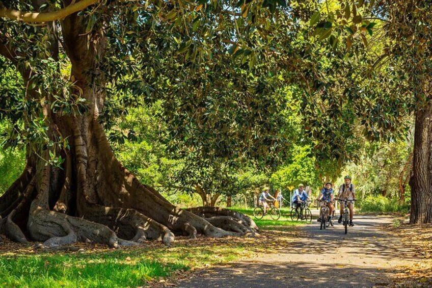 Adelaide City to Sea Bike Tour