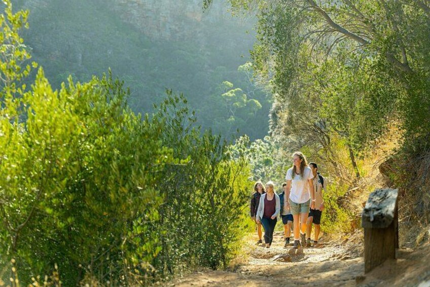 Morialta Wilderness and Wildlife Hike 1