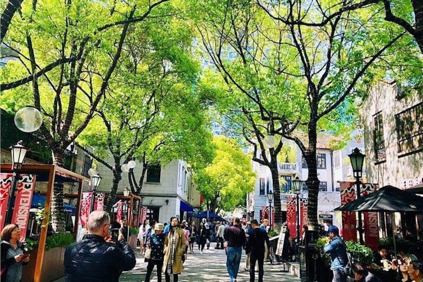 Half-Day Private Shanghai Tour by English Driver Guide including Bund, Xintiandi 1