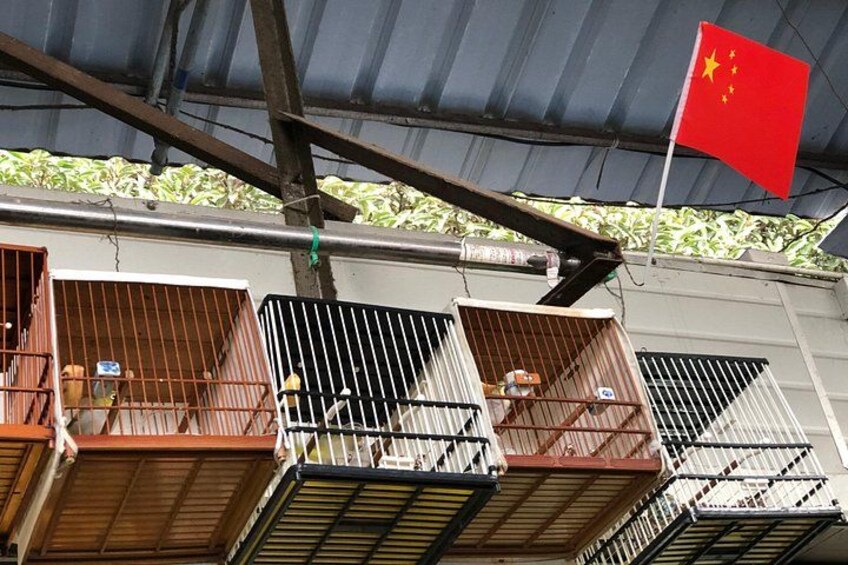 Half-Day Private Shanghai Tour by English Driver Guide including Bund, Xintiandi 5