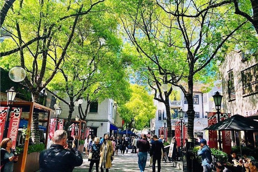 A tree-lined street with pedestrians and shops. 4