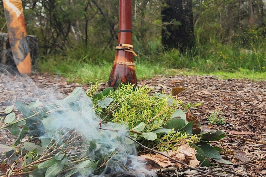 A smoking pipe with smoke rising from it, surrounded by greenery and a forested background. 2