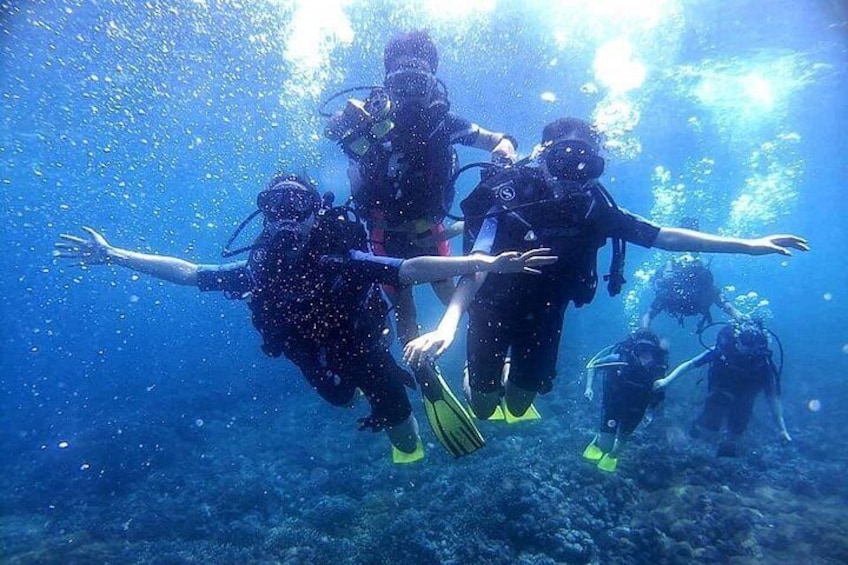Diving 5