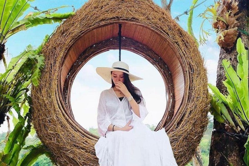 A person sitting in a circular woven structure outdoors, surrounded by greenery. 3