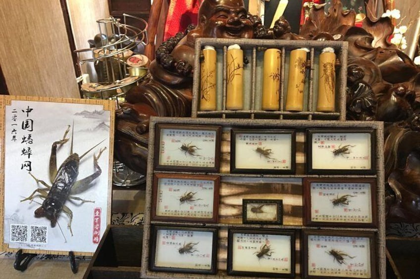 A display of framed insects with labels, a large framed picture of a crayfish, and a wooden structure with hanging items. 1