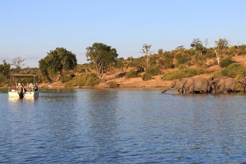 Chobe National Park boat cruises 2