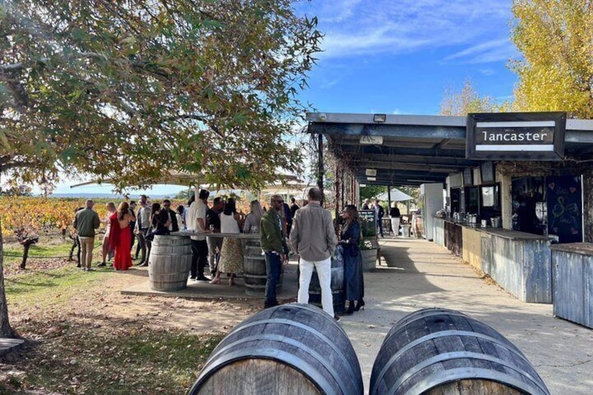 Swan Valley Half Day Wine Tour from Perth 3