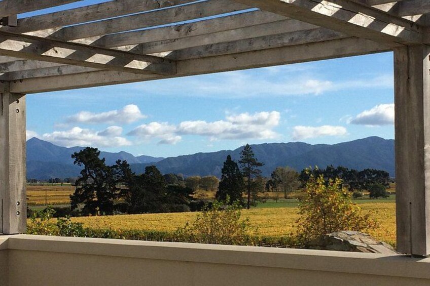 The blue skies and vines of Marlborough 5