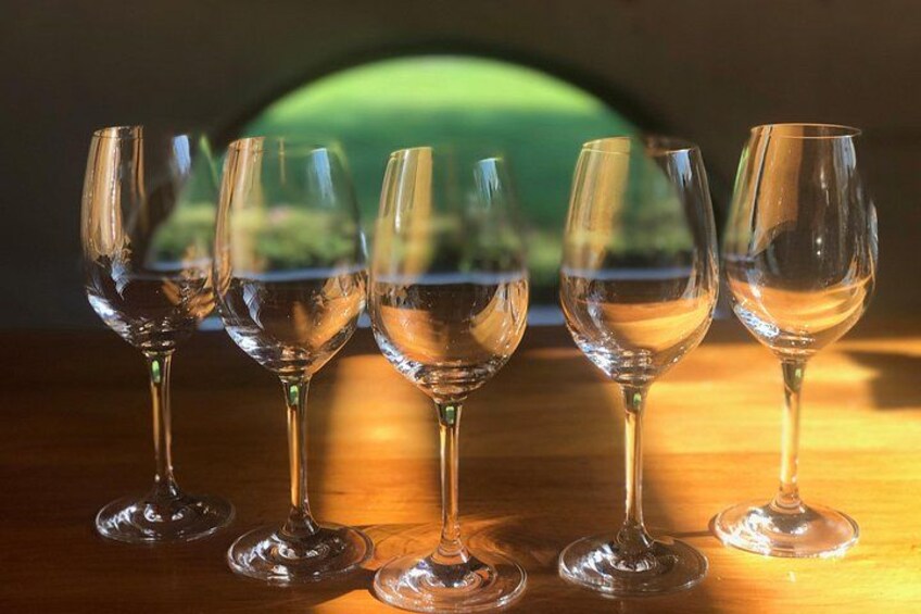 An array of amazing wines at Allan Scott Wines 2