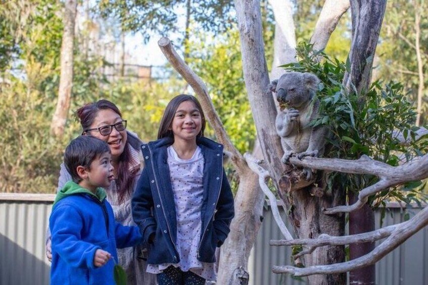Blue Mountains Day Tour Including Parramatta River Cruise 5